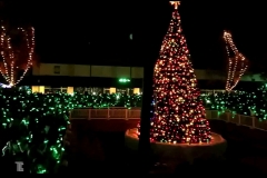 Xylobands and LED effects light up a holiday tree lighting event