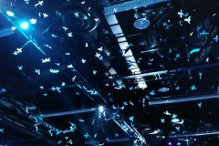 Confetti PLUS logos for launch at fan event - TLC Creative Technology