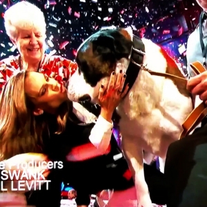Confetti for a Celebrity Dog Show for TV