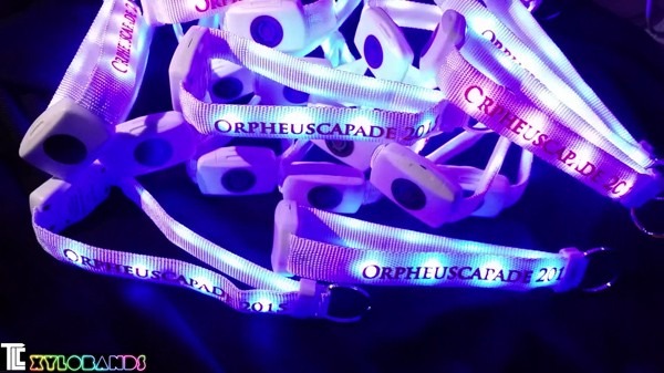 Xylobands Mardi Gras