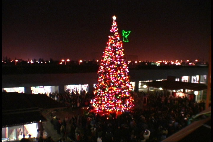 Laser Holiday Tree